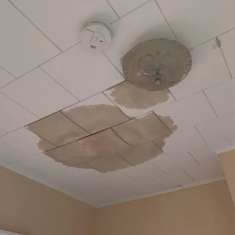 Ceiling Water Damage Repair in Whitehall, NY