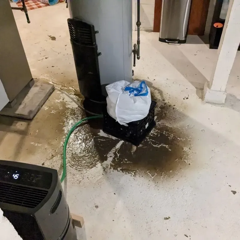 Sewage Backup Cleanup Service in Whitehall, NY